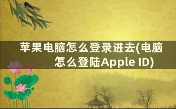 苹果电脑怎么登录进去(电脑怎么登陆Apple ID)